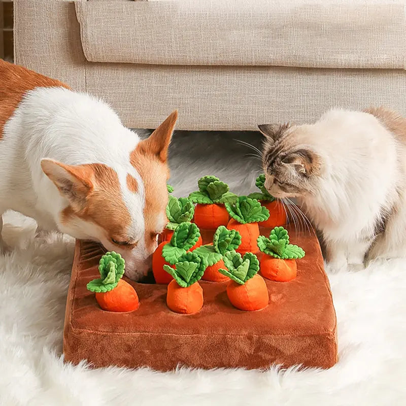 Carrot Plush Pet Chew Toy